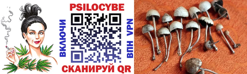 Галлюциногенные грибы мухоморы  Короча 